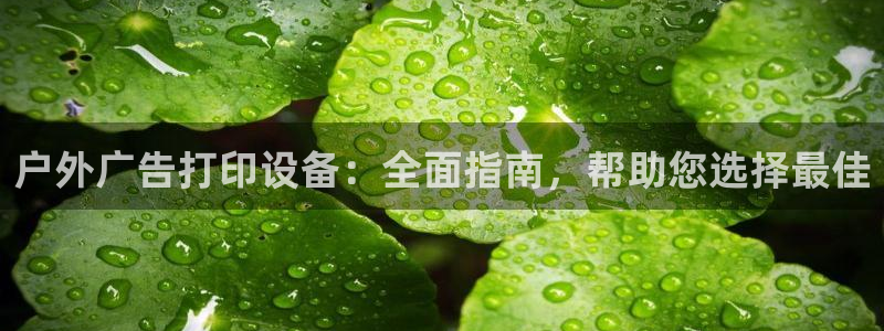 杏宇平台登录步骤是什么：户外广告打印设备：全面指南，帮助您选择最佳