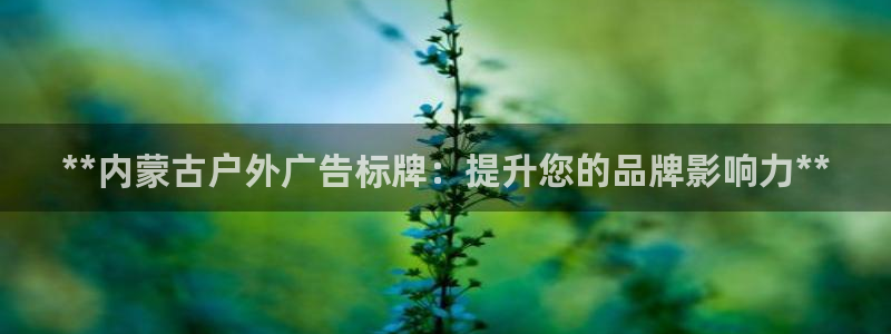 杏宇平台代理怎么样赚钱：**内蒙古户外广告标牌：提升您的品牌影响力**
