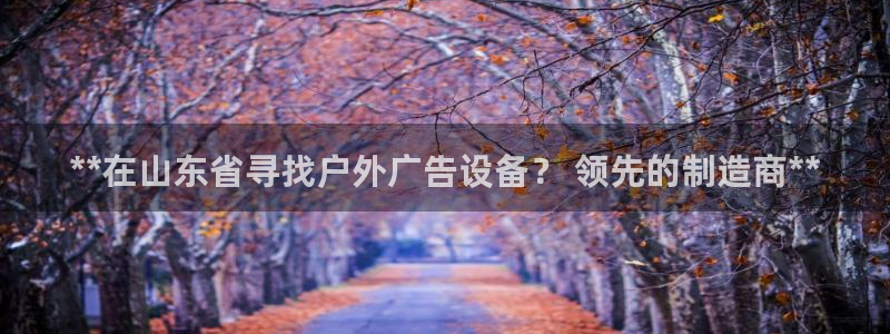 杏宇平台代理多少钱一次：**在山东省寻找户外广告设备？ 领先的制造商**