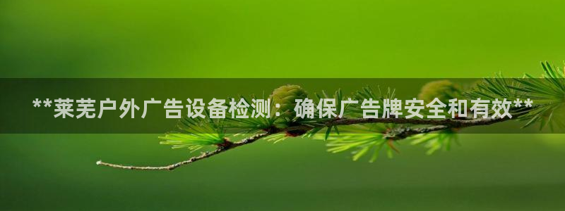 杏宇平台代理怎么赚钱的：**莱芜户外广告设备检测：确保广告牌安全和有效**