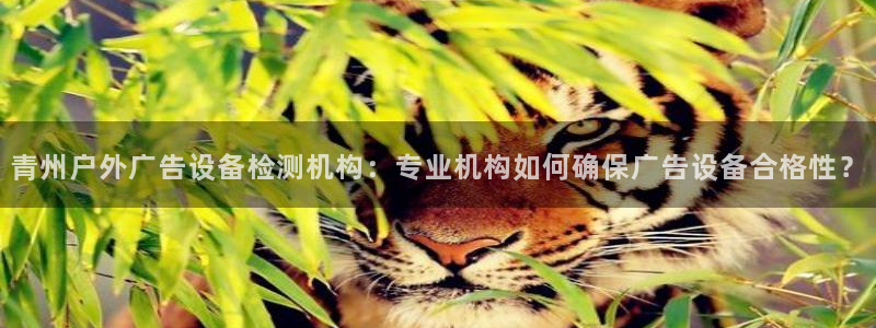 杏宇平台怎么样知乎：青州户外广告设备检测机构：专业机构如何确保广告设备合格性？