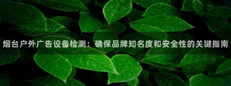杏宇平台好吗：烟台户外广告设备检测：确保品牌知名度和安全性的关键指南