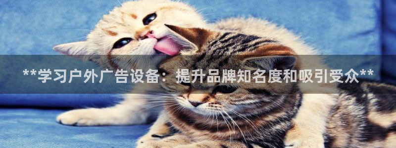杏宇平台代理多少钱一个月：**学习户外广告设备：提升品牌知名度和吸引受众**