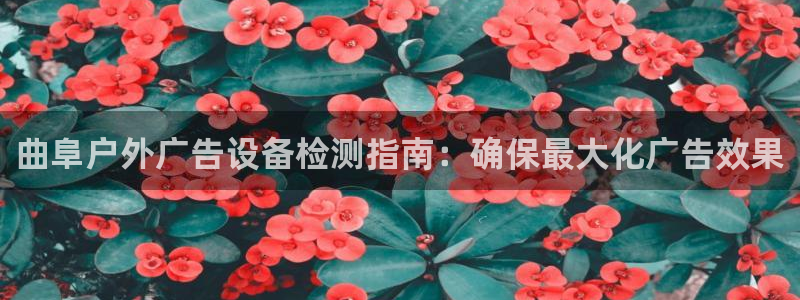 杏宇平台总代理电话：曲阜户外广告设备检测