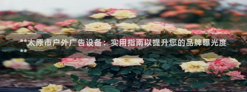 杏宇官方平台官网：**太原市户外广告设备：实用指南以提升您的品牌曝光度
**