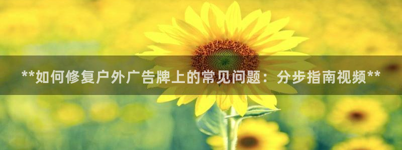 杏宇平台代理多少钱：**如何修复户外广告牌上的常见问题：分步指南视频**