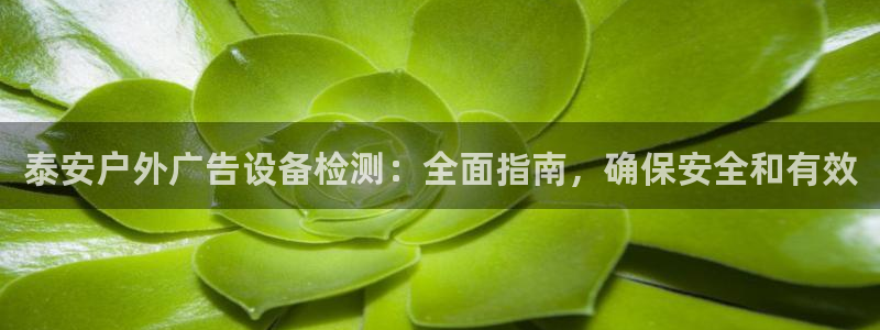 杏宇平台总代理是谁：泰安户外广告设备检测：全面指南，确保安全和有效