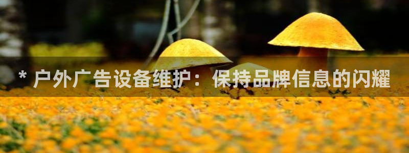 杏宇平台代理：* 户外广告设备维护：保持品牌信息的闪耀