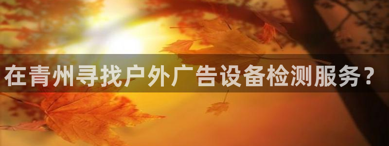 杏宇平台代理怎么样：在青州寻找户外广告设备检测服务？