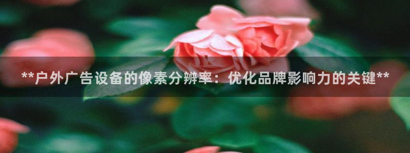 杏宇平台怎么样：**户外广告设备的像素分辨率：优化品牌影响力的关键**