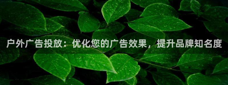 杏宇平台注册地址：户外广告投放：优化您的广告效果，提升品牌知名度