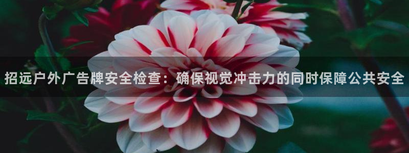 杏宇平台注册登录：招远户外广告牌安全检查：确保视觉冲击力的同时保障公共安全