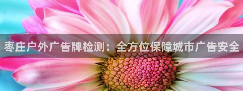 杏宇平台总代理电话：枣庄户外广告牌检测：全方位保障城市广告安全