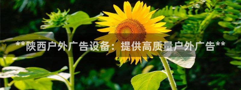 杏宇平台代理怎么赚钱快：**陕西户外广告设备：提供高质量户外广告**