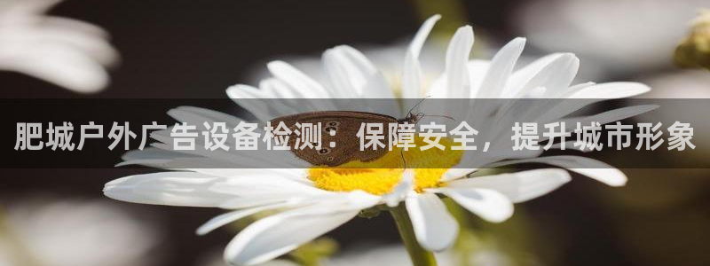 杏宇平台代理多少钱一个：肥城户外广告设备